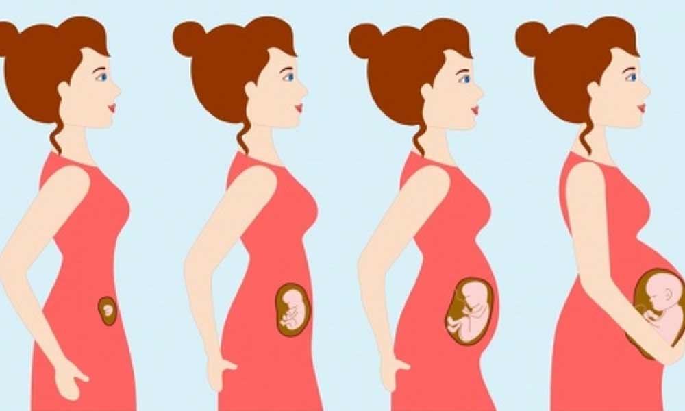 دوران بارداری | بایدها و نبایدهای دوران بارداری
