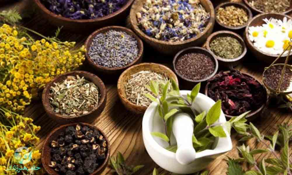 گیاهان دارویی | آشنایی با خواص بهترین گیاهان دارویی