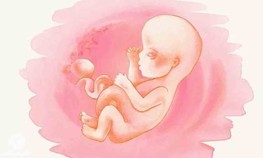 هفته دوازدهم بارداری | علائم و تغییرات جنین در هفته دوازدهم