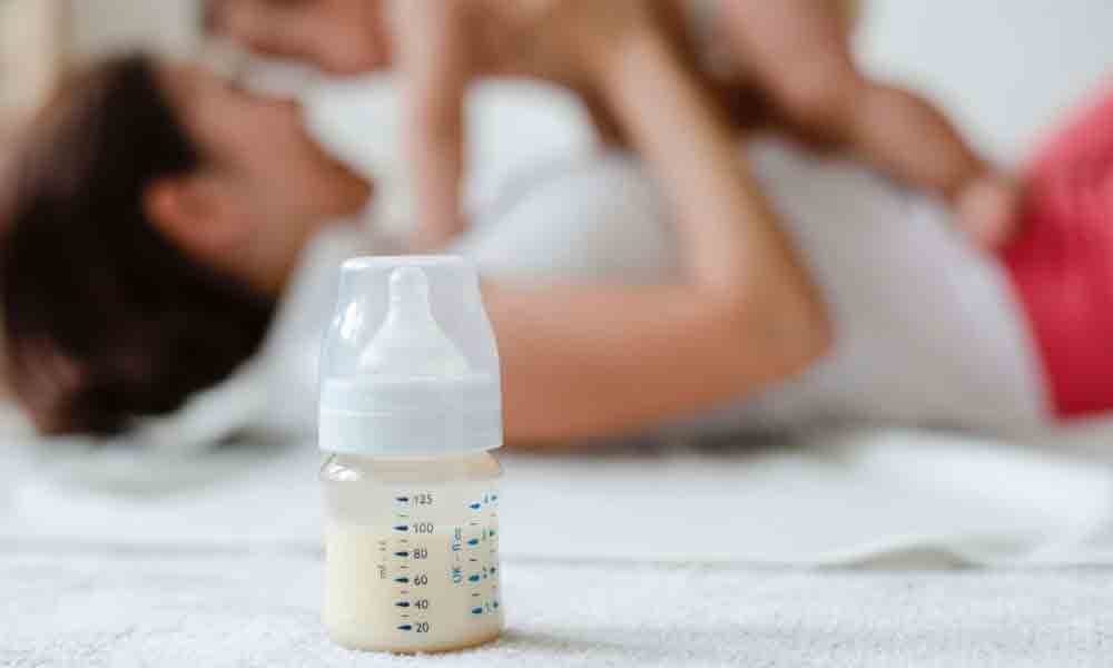 دادن شیر گاو به نوزاد | فوائد و مضرات شیر گاو برای نوزاد
