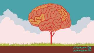 انعطاف پذیری مغز | قابلیت مغز برای تغییر و سازگاری در سنین متفاوت