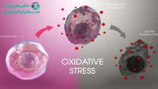 استرس اکسیداتیو چیست ؟ | عوامل موثر و راه های مدیریت