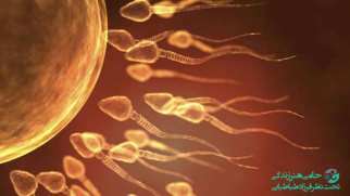 درمان قطعی اسپرم صفر یا آزو اسپرمی در مردان چیست؟