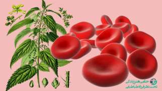 مفیدترین گیاه برای کم خونی | درمان کم خونی با گیاهان دارویی