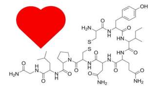 هورمون اکسی توسین چیست | راه‌های افزایش هورمون عشق را بدانید