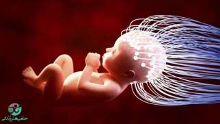 اثر اشعه ایکس بر جنین | خطری نامرئی