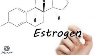 استروژن | کارکرد و نقش هورمون استروژن در زنان