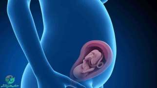 هفته بیست و هفتم بارداری | علائم و تغییرات جنین در هفته 27 بارداری