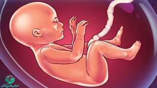 رشد نکردن جنین | دلایل، تشخیص و درمان اختلالات رشد جنین